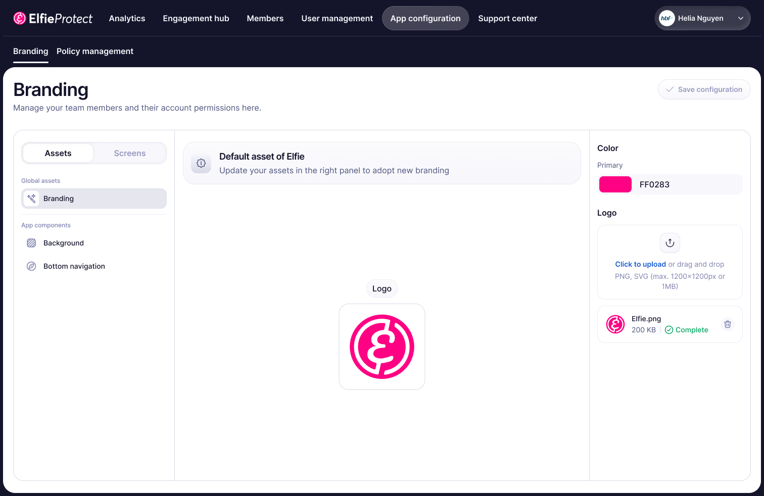 App configuration — the branding panel